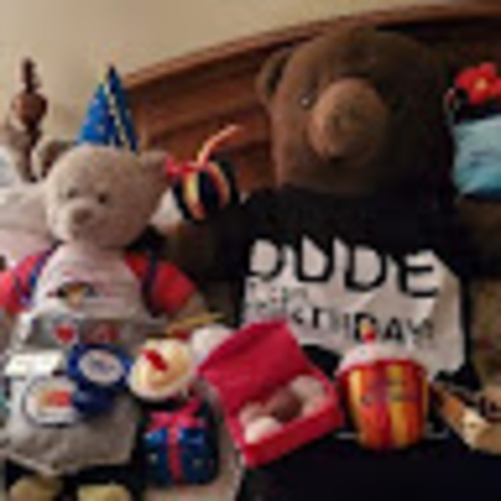Meet your Posher, Bear